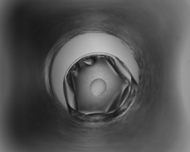 X0000087550293200705181111