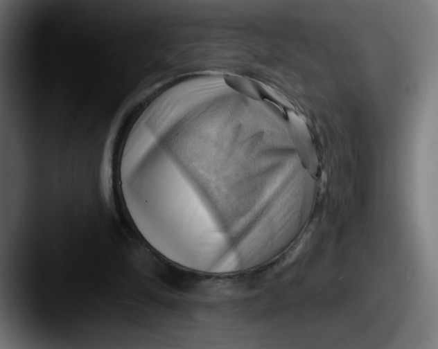 X0000087550294200705181111