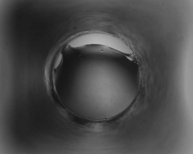 X0000087550295200705181111