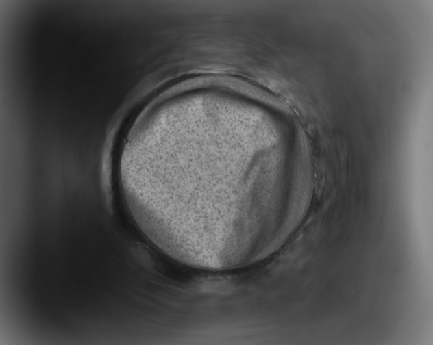 X0000087550296200705181111