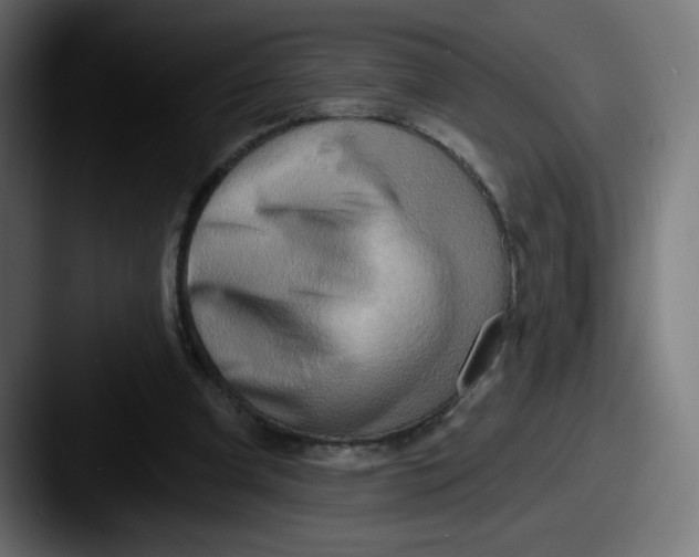 X0000087550297200705181111