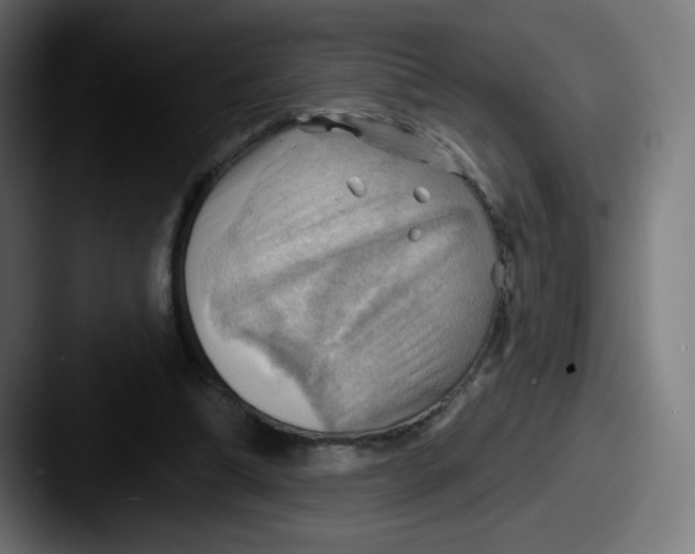 X0000087550298200705181111