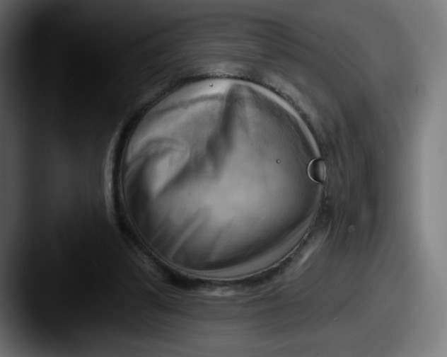 X0000087550299200705181111