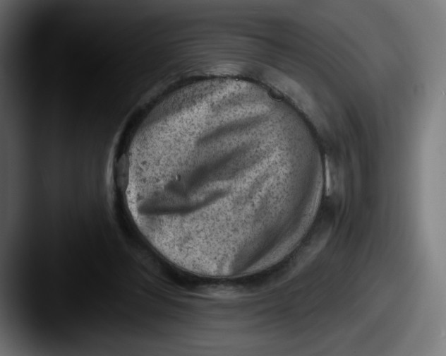 X0000087550300200705181111