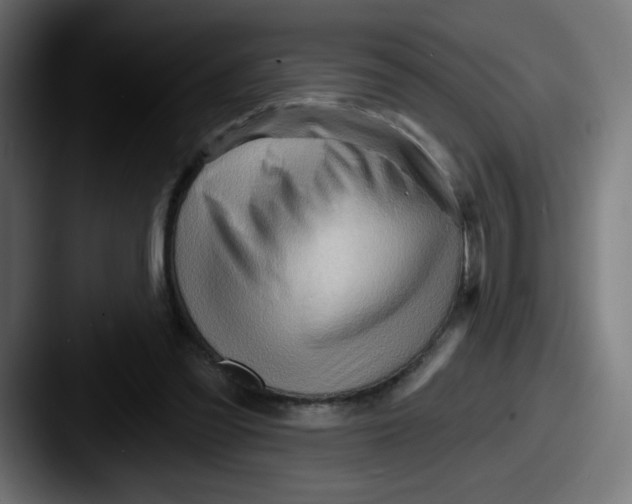 X0000087550301200705181111