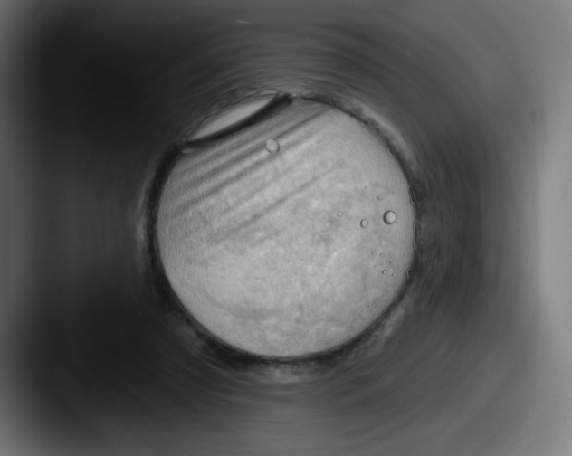 X0000087550305200705181111