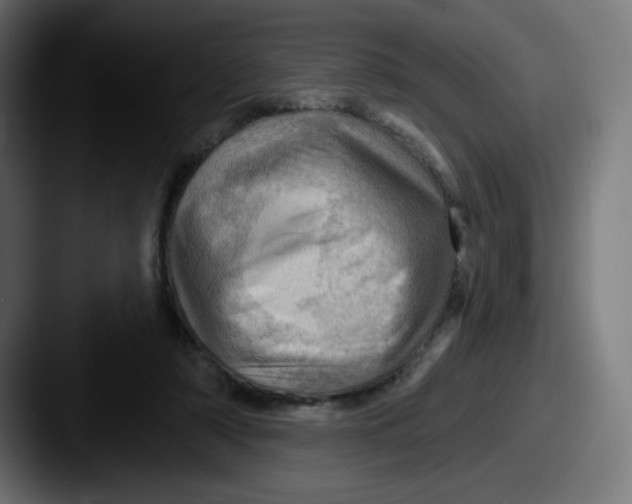 X0000087550306200705181111