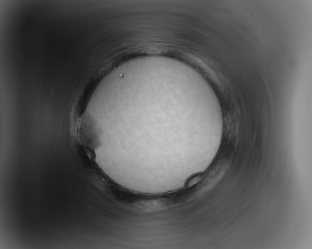 X0000087550307200705181111