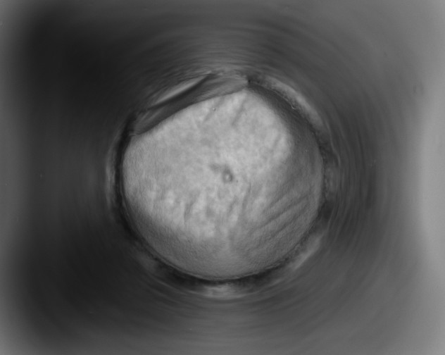 X0000087550309200705181111