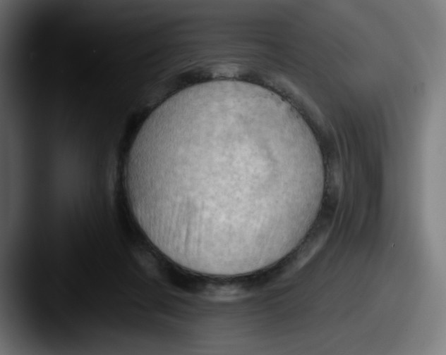 X0000087550311200705181111