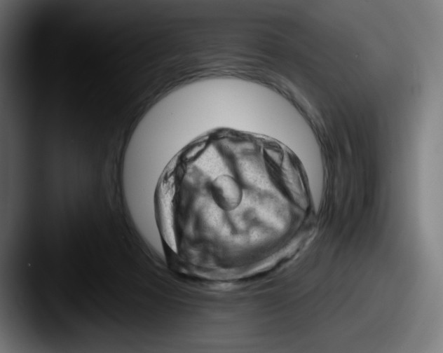 X0000087550313200705181111