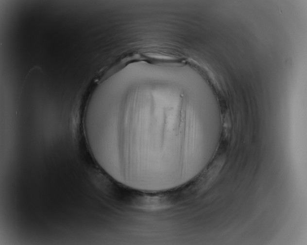 X0000087550314200705181111