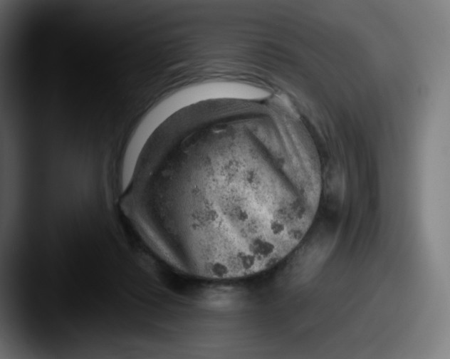 X0000087550315200705181111