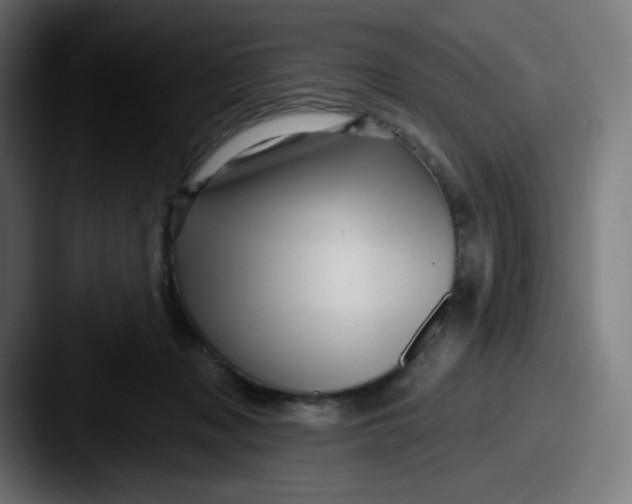 X0000087550317200705181111