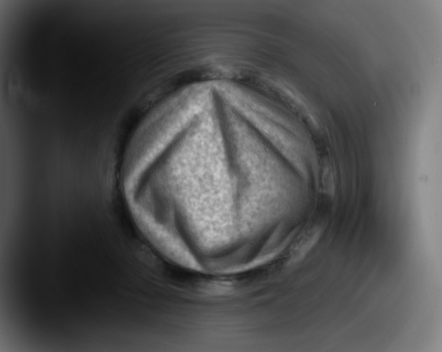 X0000087550318200705181111