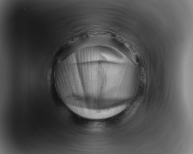 X0000087550319200705181111