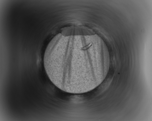 X0000087550320200705181111