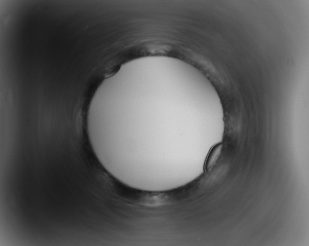 X0000087550321200705181111