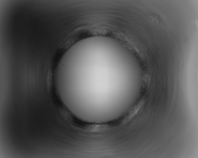 X0000087550323200705181111