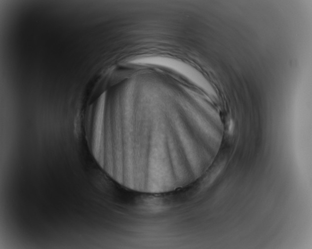 X0000087550325200705181111