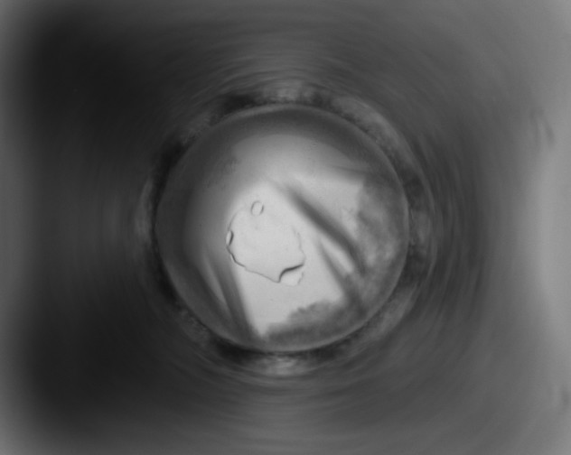 X0000087550326200705181111