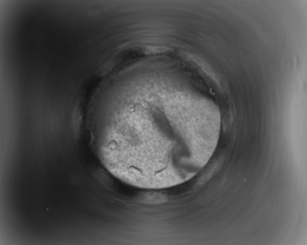 X0000087550327200705181111