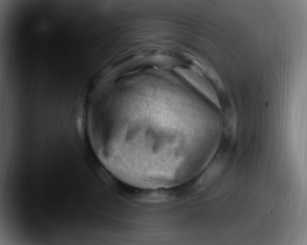 X0000087550329200705181111