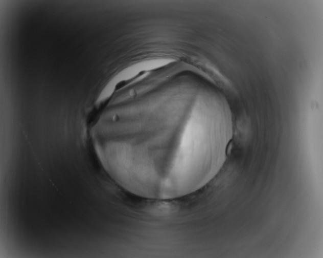 X0000087550330200705181111