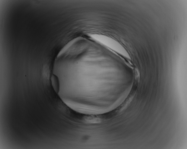 X0000087550331200705181111