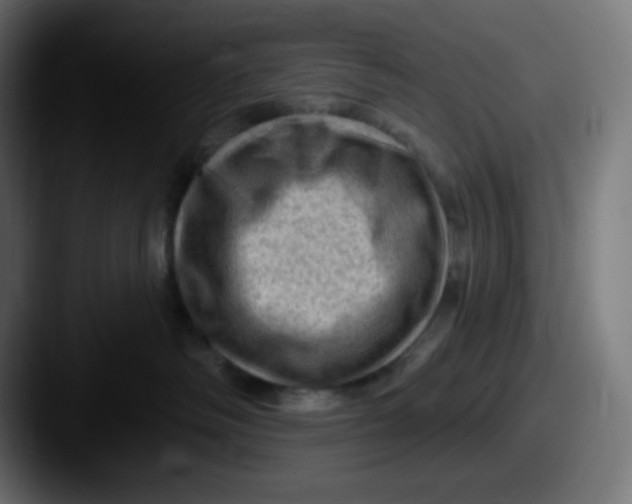 X0000087550334200705181111