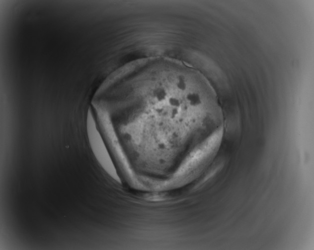 X0000087550335200705181111