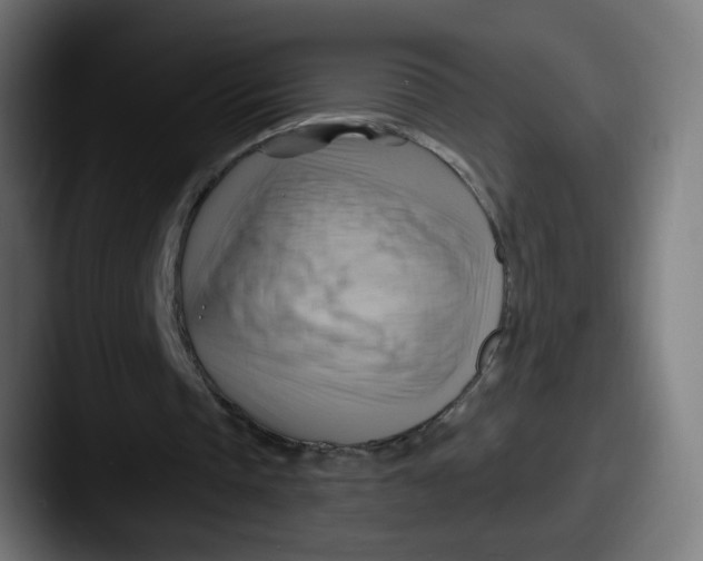 X0000087550337200705181110