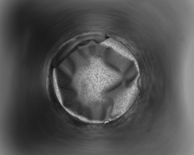 X0000087550338200705181110