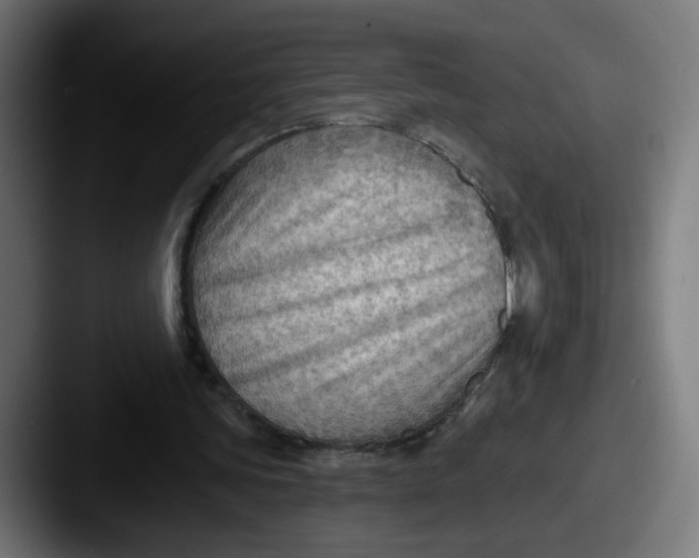 X0000087550339200705181110