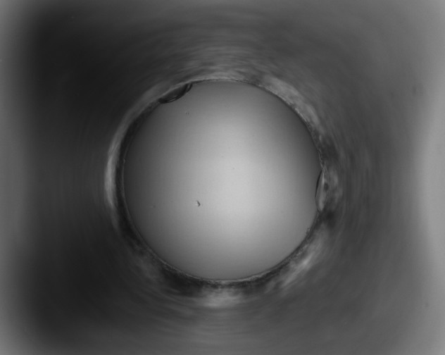 X0000087550340200705181110