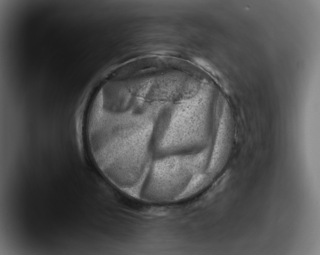 X0000087550341200705181110