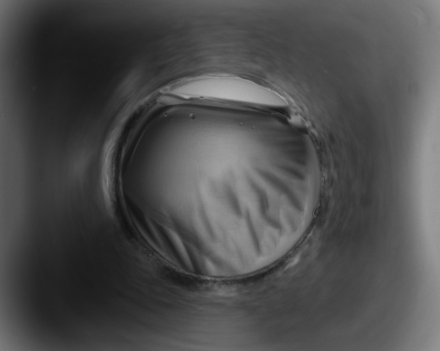 X0000087550343200705181110