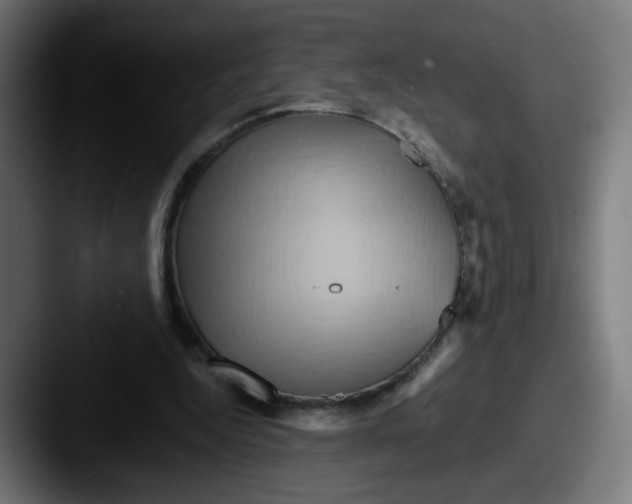 X0000087550344200705181110