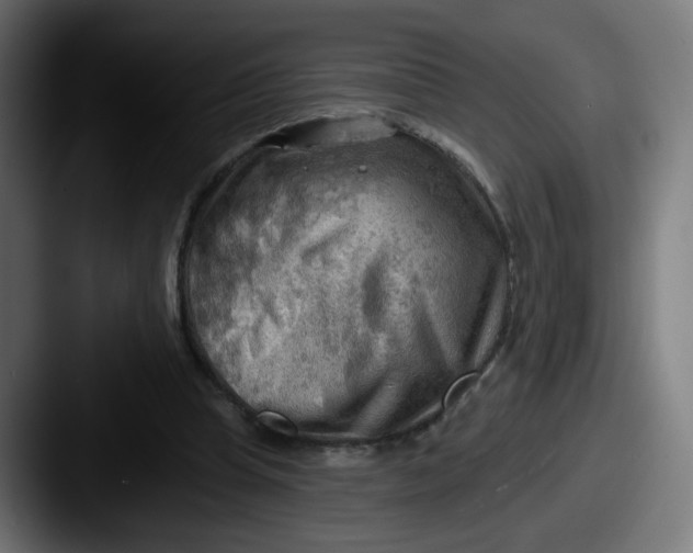 X0000087550345200705181110