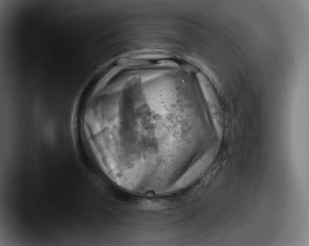 X0000087550346200705181110