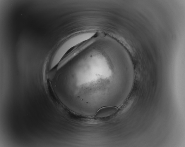 X0000087550347200705181110