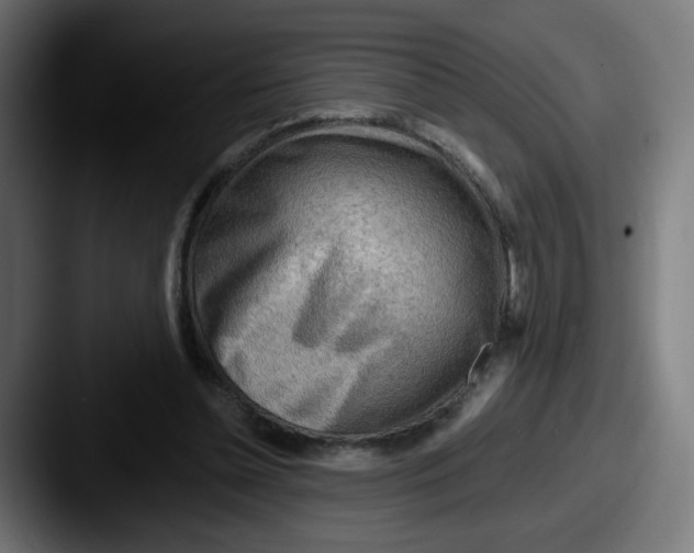 X0000087550348200705181110