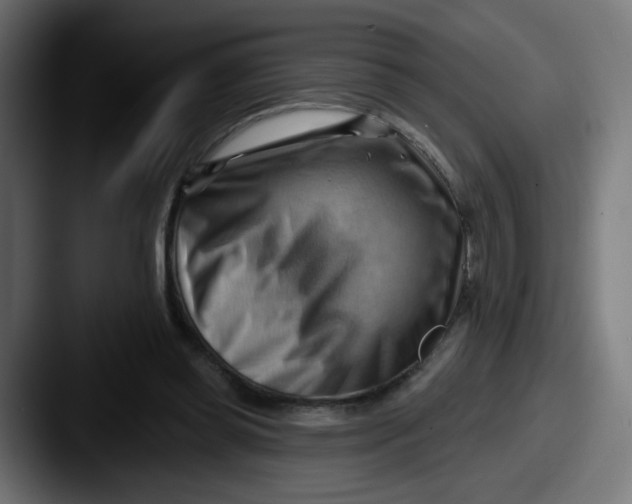 X0000087550349200705181110