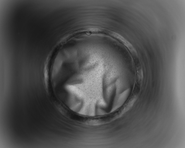 X0000087550350200705181110