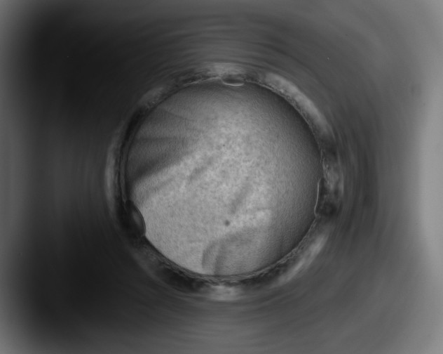 X0000087550352200705181110