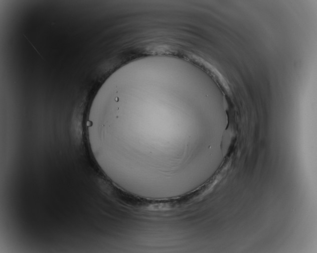 X0000087550353200705181110