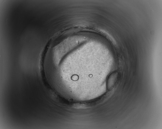 X0000087550354200705181110