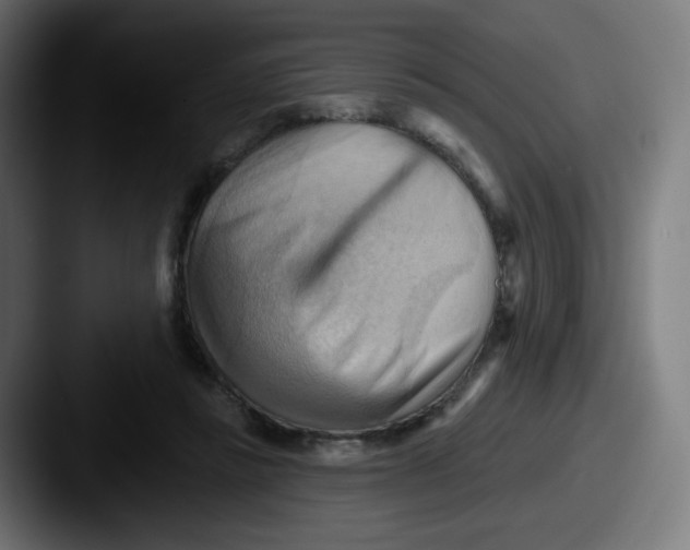 X0000087550355200705181110