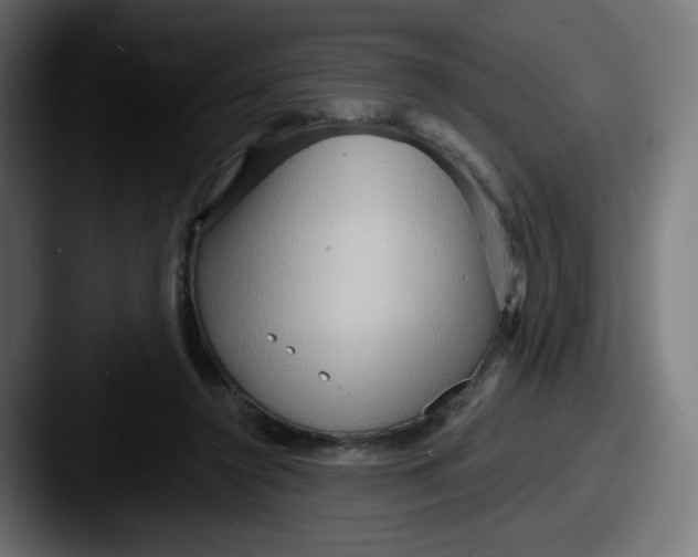 X0000087550356200705181110