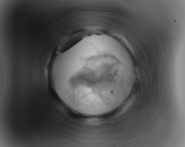 X0000087550357200705181110